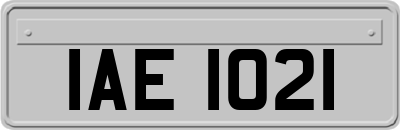 IAE1021