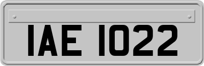 IAE1022