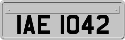 IAE1042