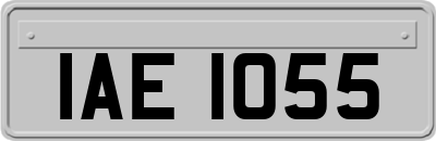 IAE1055