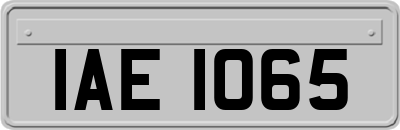 IAE1065