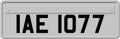 IAE1077