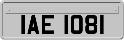 IAE1081