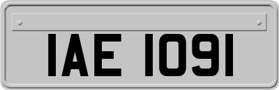 IAE1091