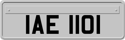 IAE1101