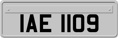 IAE1109