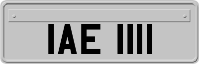 IAE1111