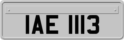 IAE1113