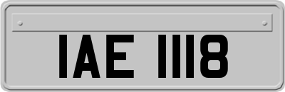 IAE1118