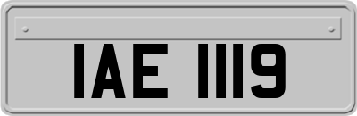 IAE1119