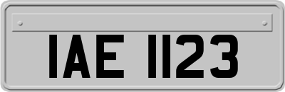 IAE1123