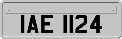 IAE1124