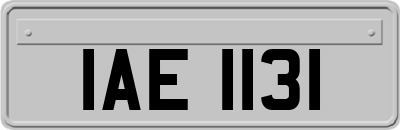 IAE1131