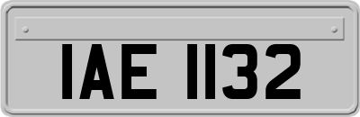 IAE1132
