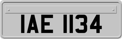 IAE1134
