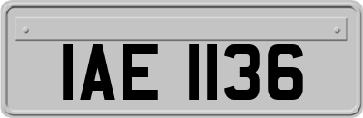 IAE1136