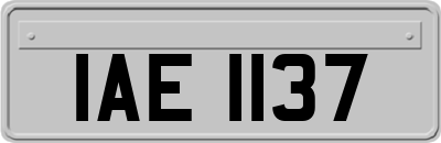 IAE1137