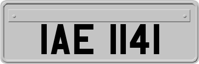 IAE1141