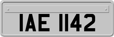 IAE1142