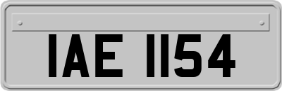 IAE1154