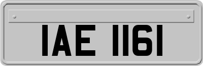 IAE1161