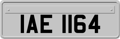 IAE1164