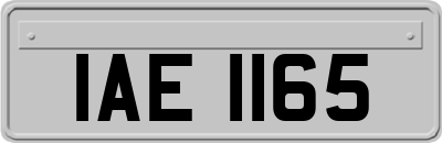 IAE1165