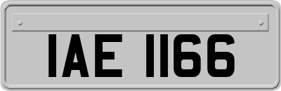 IAE1166