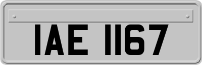 IAE1167