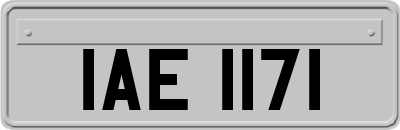 IAE1171