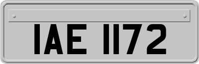 IAE1172