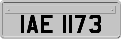 IAE1173