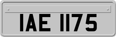 IAE1175