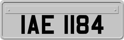 IAE1184