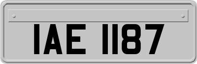 IAE1187