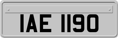 IAE1190