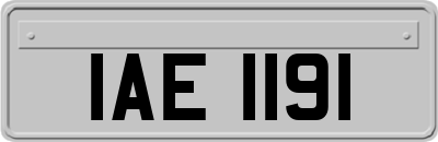 IAE1191