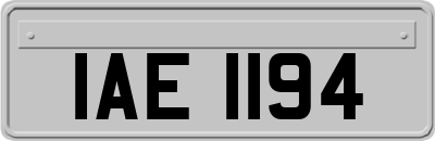 IAE1194