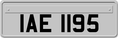 IAE1195
