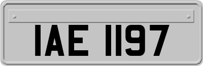 IAE1197