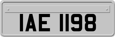 IAE1198