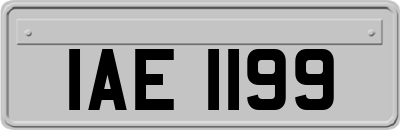 IAE1199