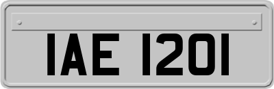 IAE1201