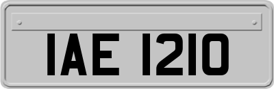 IAE1210