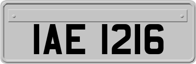 IAE1216