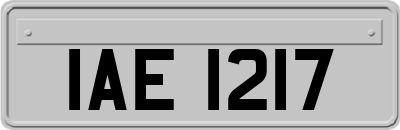 IAE1217