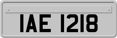 IAE1218