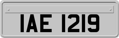 IAE1219