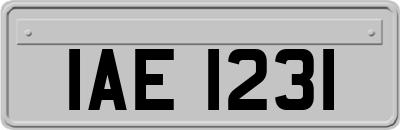 IAE1231