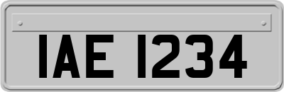 IAE1234
